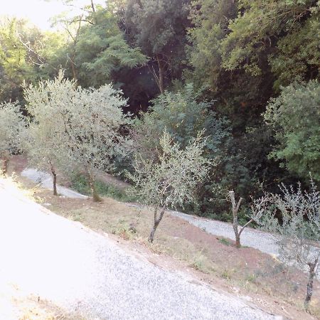 Fattoria Ceragioli Βίλα Camaiore Εξωτερικό φωτογραφία