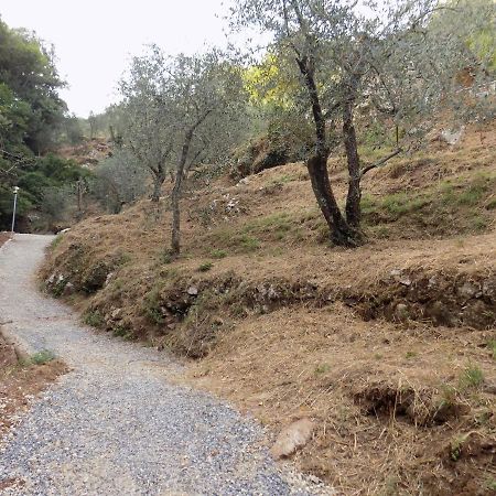 Fattoria Ceragioli Βίλα Camaiore Εξωτερικό φωτογραφία