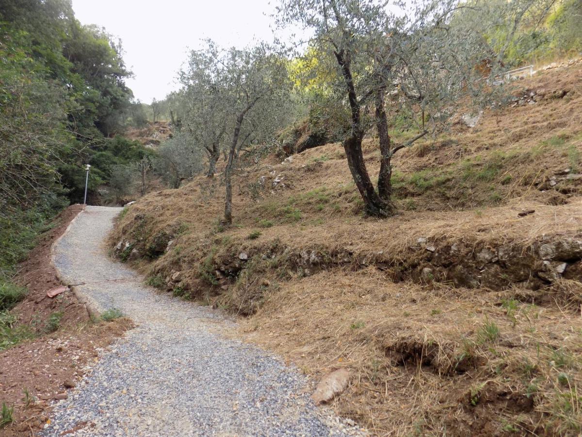 Fattoria Ceragioli Βίλα Camaiore Εξωτερικό φωτογραφία