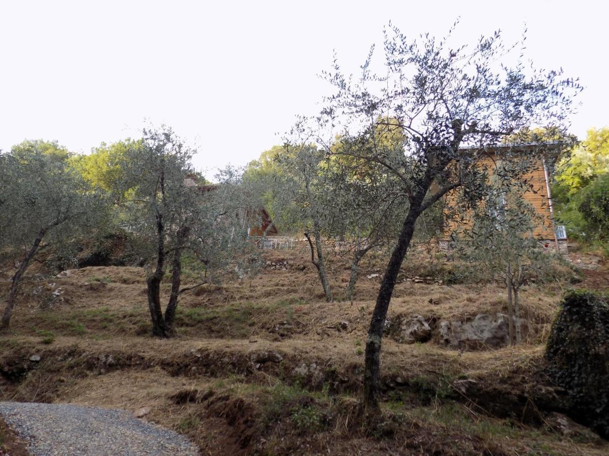 Fattoria Ceragioli Βίλα Camaiore Εξωτερικό φωτογραφία
