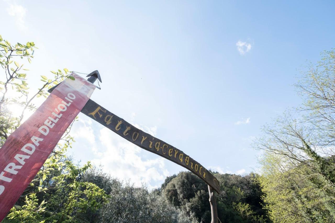 Fattoria Ceragioli Βίλα Camaiore Εξωτερικό φωτογραφία