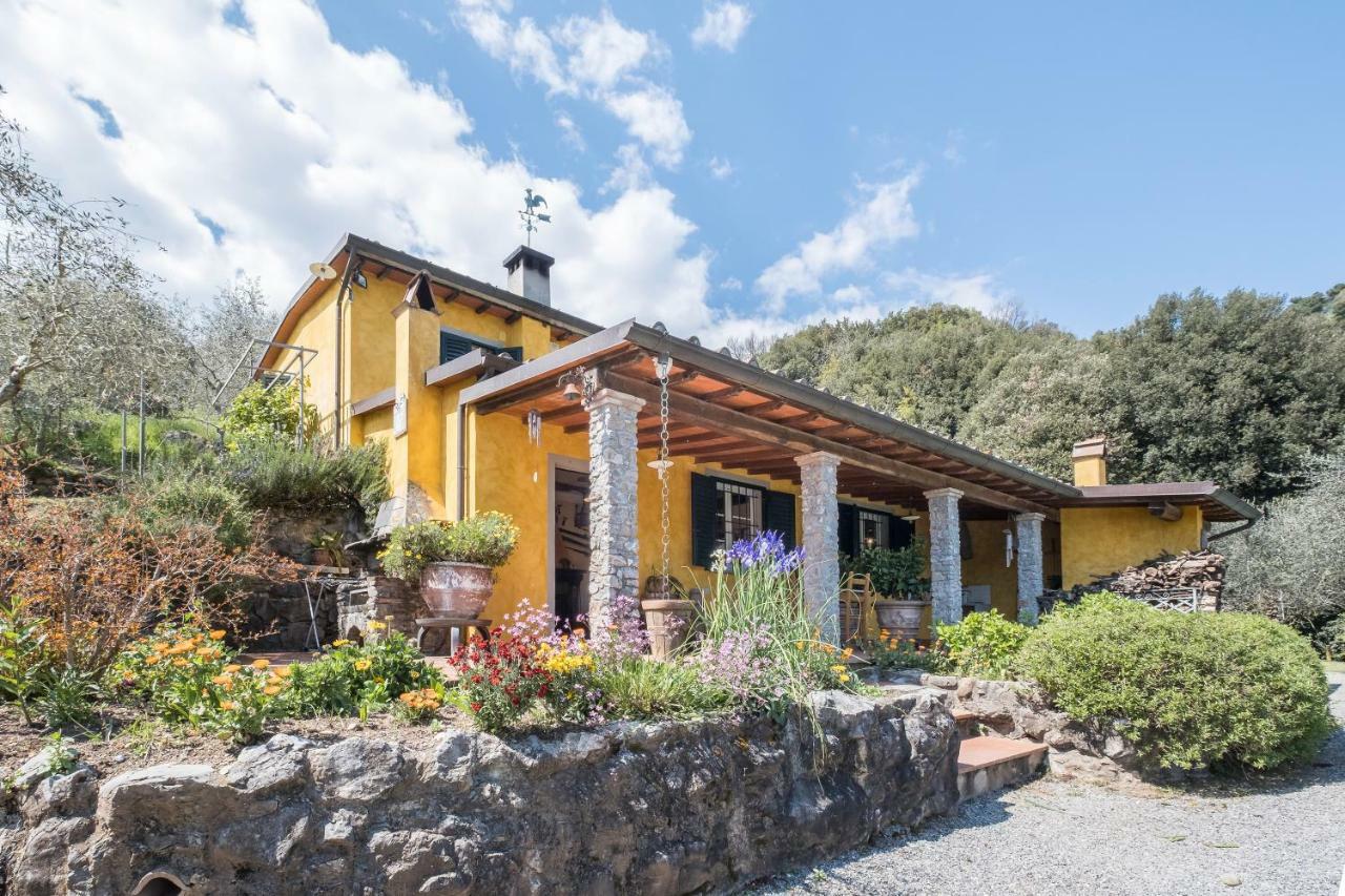 Fattoria Ceragioli Βίλα Camaiore Εξωτερικό φωτογραφία
